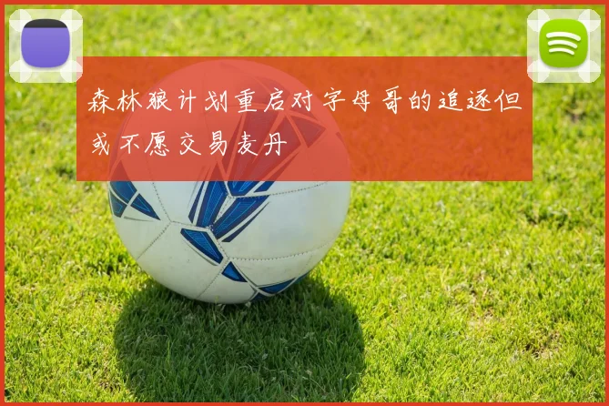 森林狼计划重启对字母哥的追逐但或不愿交易麦丹