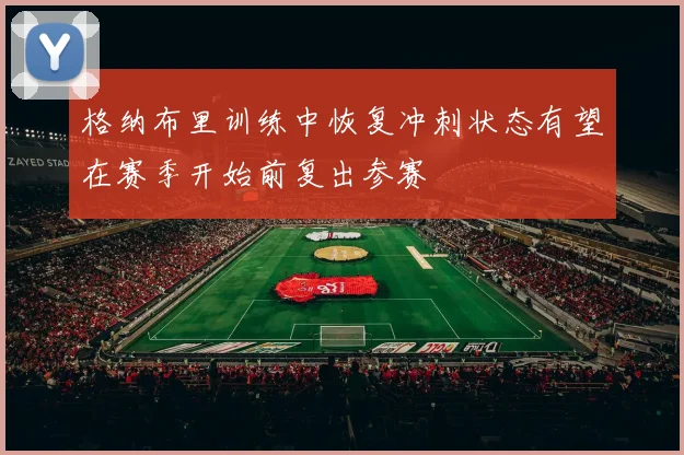 格纳布里训练中恢复冲刺状态有望在赛季开始前复出参赛