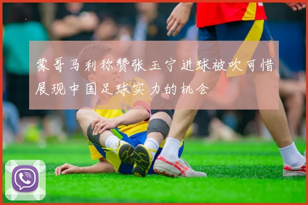 蒙哥马利称赞张玉宁进球被吹可惜展现中国足球实力的机会